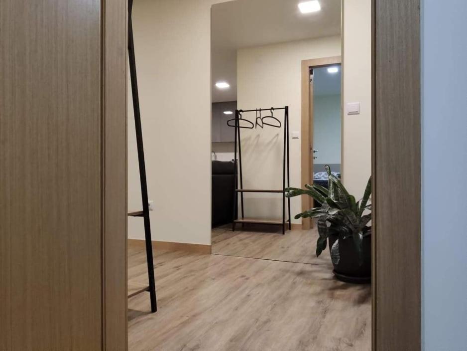 Al Santiago T1 Apartment Viana do Castelo Ngoại thất bức ảnh