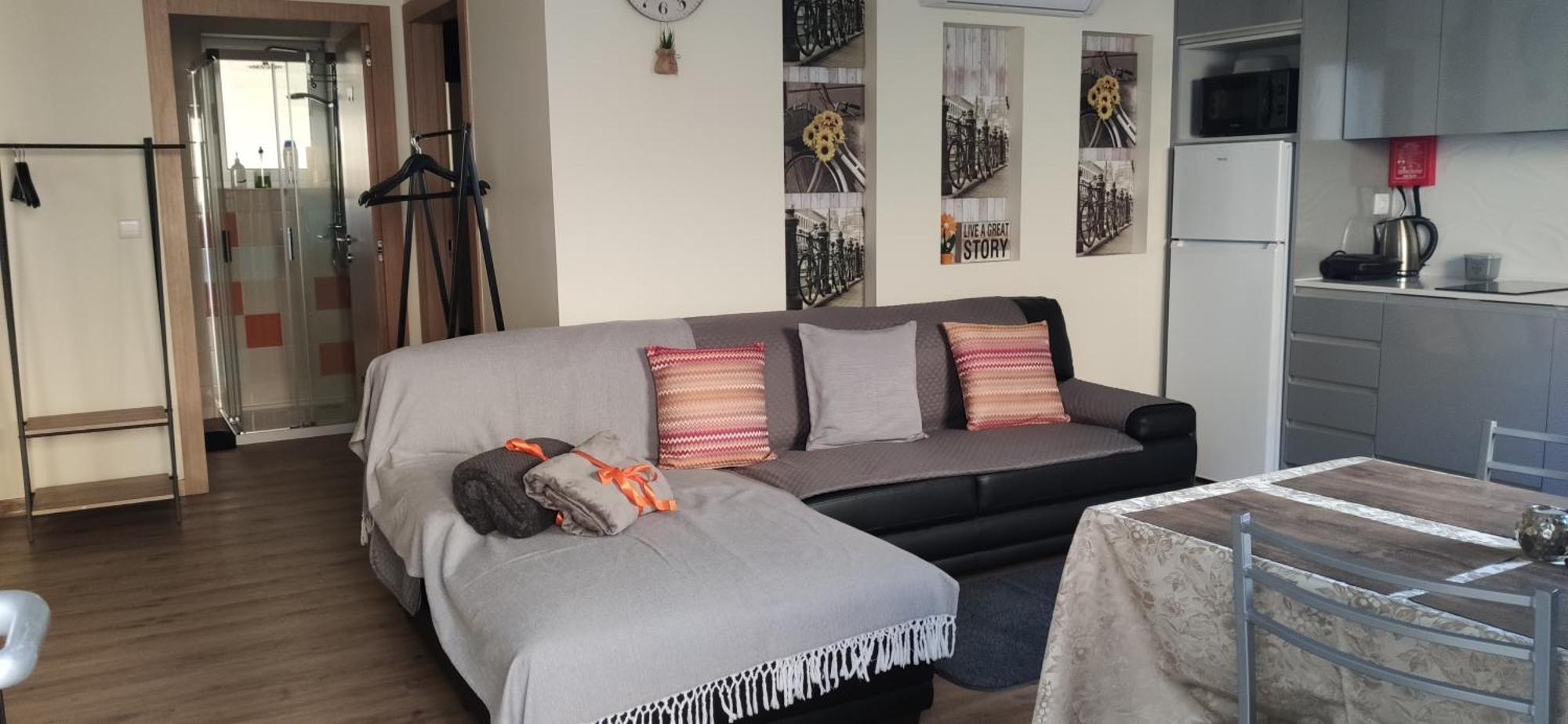 Al Santiago T1 Apartment Viana do Castelo Phòng bức ảnh